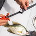Freshwater Multi-Flex Interchangeable Set
