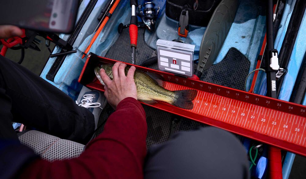 Bump Board 28" - Red
