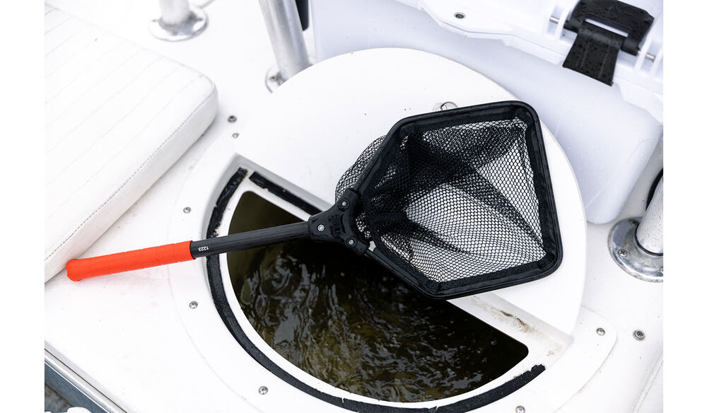 Bait Dip Net