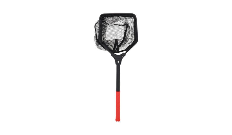 Bait Dip Net