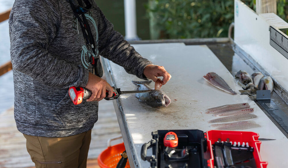 Pro Series Cordless Electric Fillet Knife - Gen 2