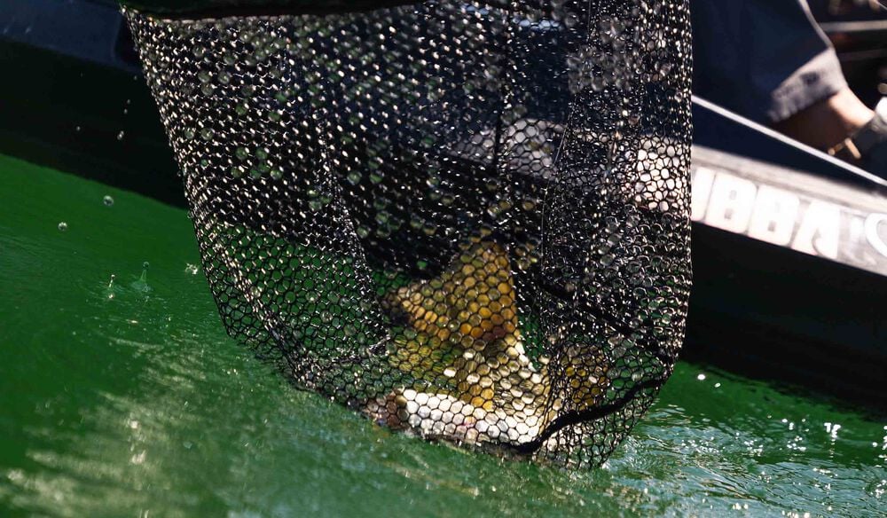 aluminum fish net Beoccudo Extra Large Fishing Landing Designed for wading Joy Fish Joy Fish Landing