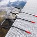 Aluminum Telescoping Net - Large